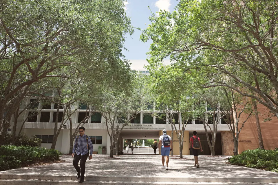 Students walking along a tree-lined campus walkway between classes
